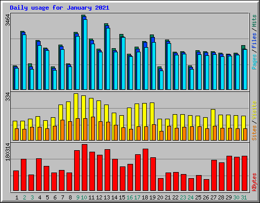 Daily usage for January 2021