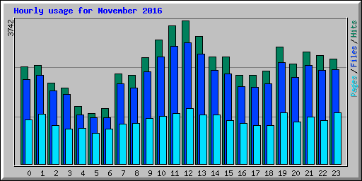 Hourly usage for November 2016