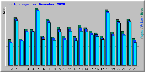 Hourly usage for November 2020