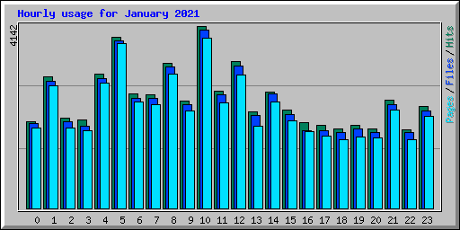 Hourly usage for January 2021