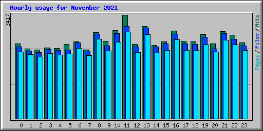 Hourly usage for November 2021
