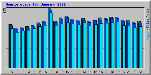 Hourly usage for January 2022