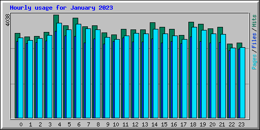 Hourly usage for January 2023