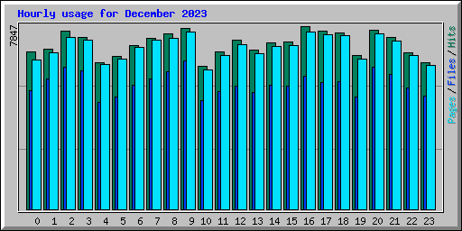 Hourly usage for December 2023