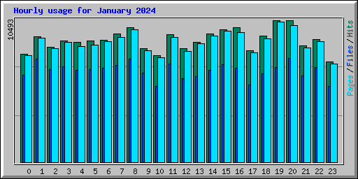 Hourly usage for January 2024