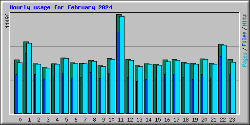 Hourly usage for February 2024